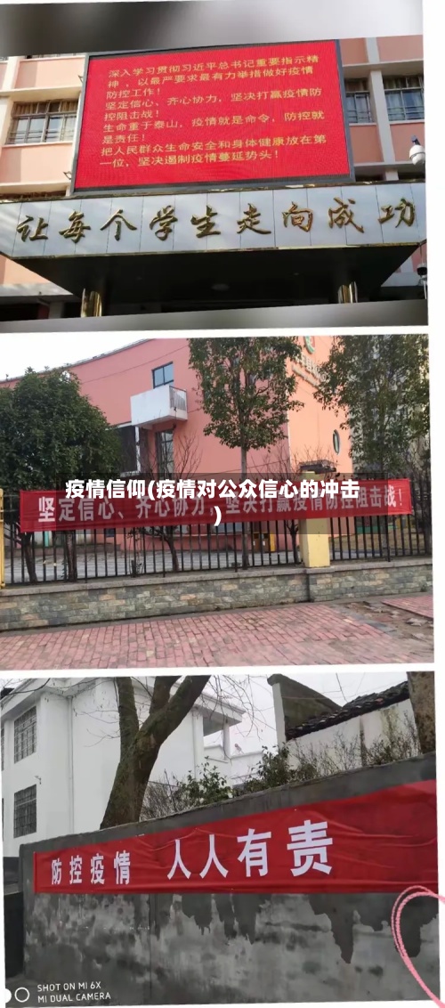 疫情信仰(疫情对公众信心的冲击)-第2张图片