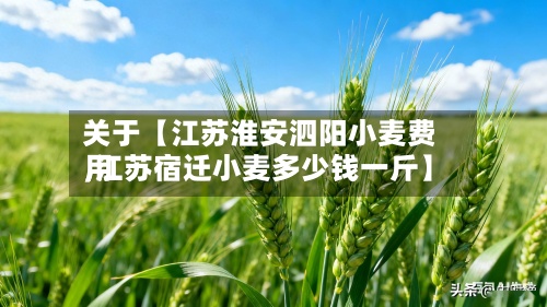 关于【江苏淮安泗阳小麦费用,江苏宿迁小麦多少钱一斤】