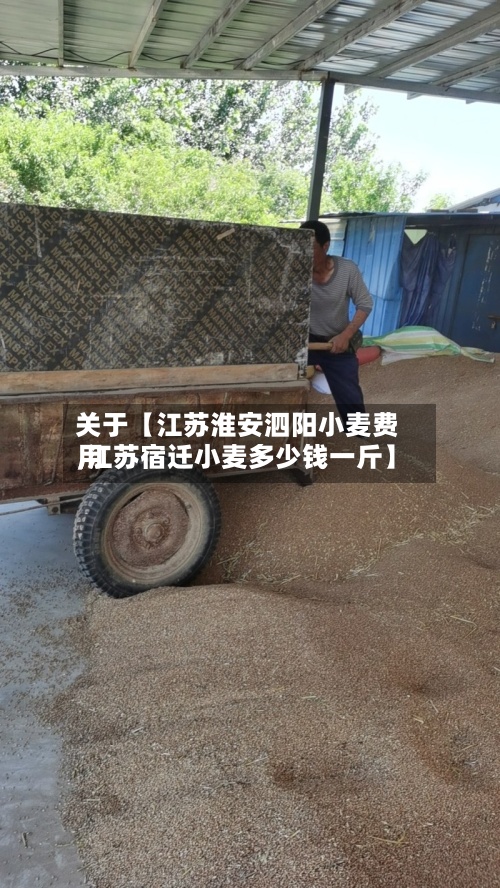 关于【江苏淮安泗阳小麦费用
,江苏宿迁小麦多少钱一斤】-第2张图片