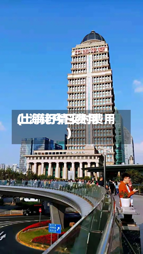 上海铑今日费用(上海行情实时费用)-第2张图片
