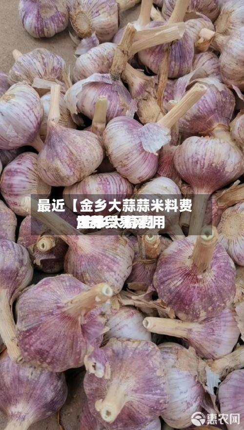 最近【金乡大蒜蒜米料费用,金乡大蒜费用世界大蒜贸易网】-第3张图片