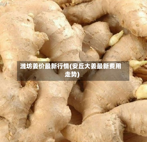 潍坊姜价最新行情(安丘大姜最新费用
走势)-第2张图片