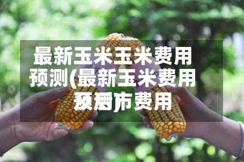 最新玉米玉米费用
预测(最新玉米费用
及后市费用
预测)-第2张图片