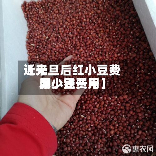 近来【元旦后红小豆费用赤小豆费用多少钱一斤】-第3张图片