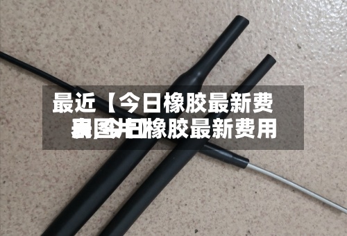 最近【今日橡胶最新费用表,今日橡胶最新费用表图片】-第2张图片