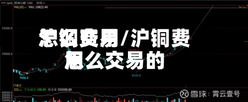 沪铜费用怎么交易/沪铜费用怎么交易的