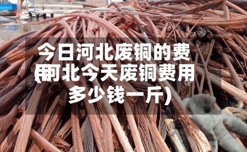 今日河北废铜的费用(河北今天废铜费用多少钱一斤)-第3张图片