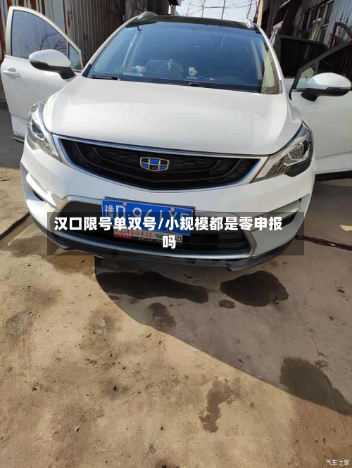 汉口限号单双号/小规模都是零申报吗