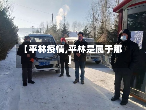 【平林疫情,平林是属于那】