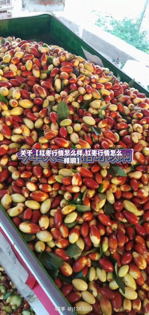 关于【红枣行情怎么样,红枣行情怎么样啊】