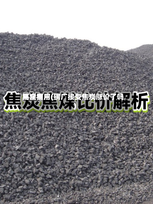 焦炭费用
高企钢厂(钢厂接受焦炭涨价了吗)-第3张图片